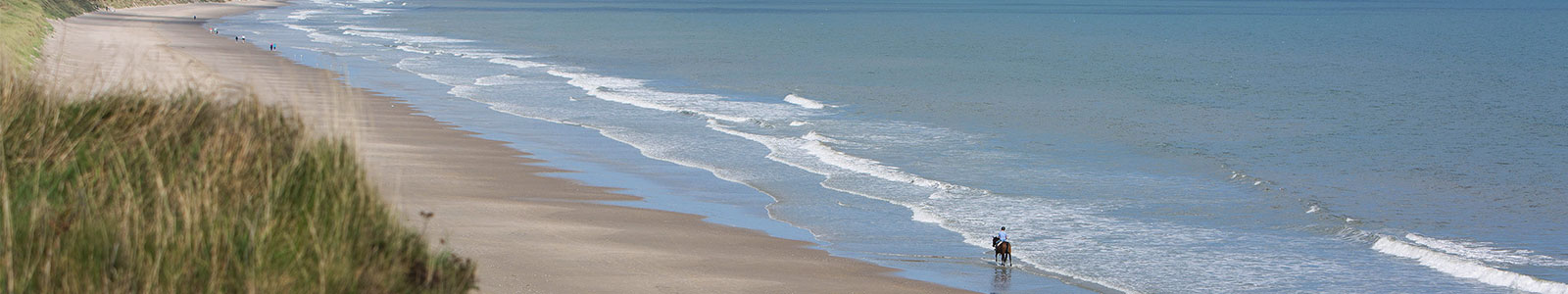 Horse on beach near Ballyvaloo