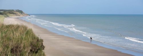 Beach with horserider